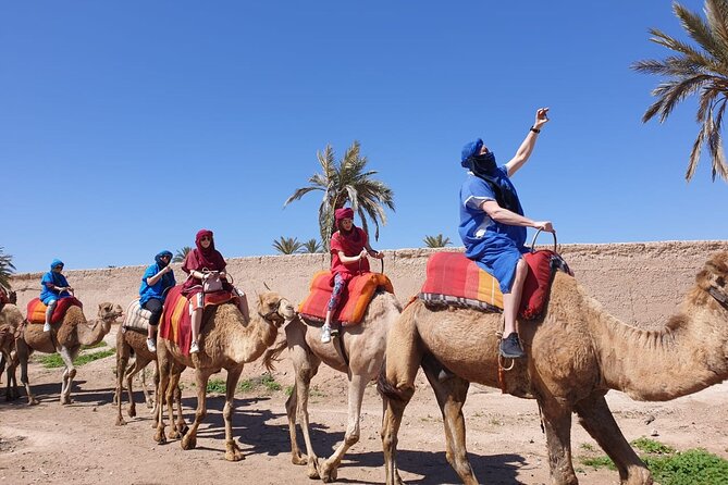 Sunset Camel Ride Marrakech Palmeraie - Whats Included in the Tour