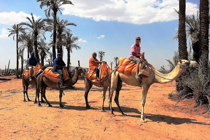 Sunset Camel Ride Tour in Marrakech Palm Grove - Berber House Visit and Refreshments