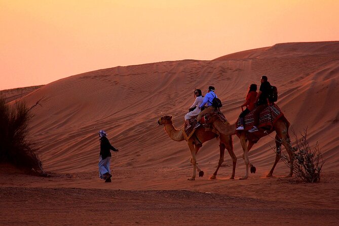 Sunset Evening Safari,Camel Ride,Live Shows and BBQ Dinner With No Hidden Charge - Dining Options