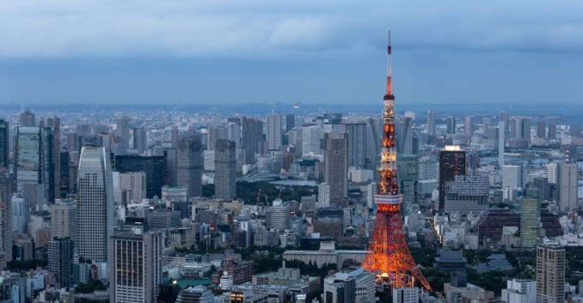 Tokyo: 1 Day Private Customisable City Tour by Car and Van - Group Size and Duration