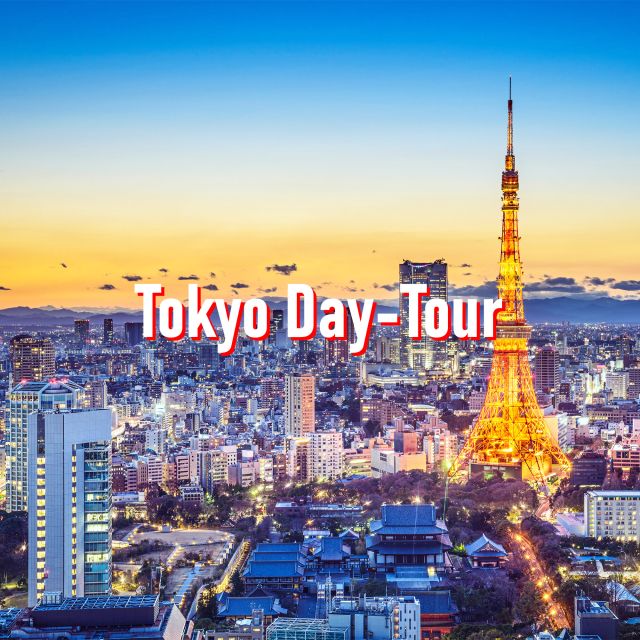 Tokyo: 10-Hour Customizable Private Tour With Hotel Transfer - Flexible Pick-up and Drop-off