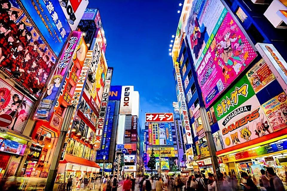 Tokyo Full Day Private Tour With English Speaking Driver - Stops Included