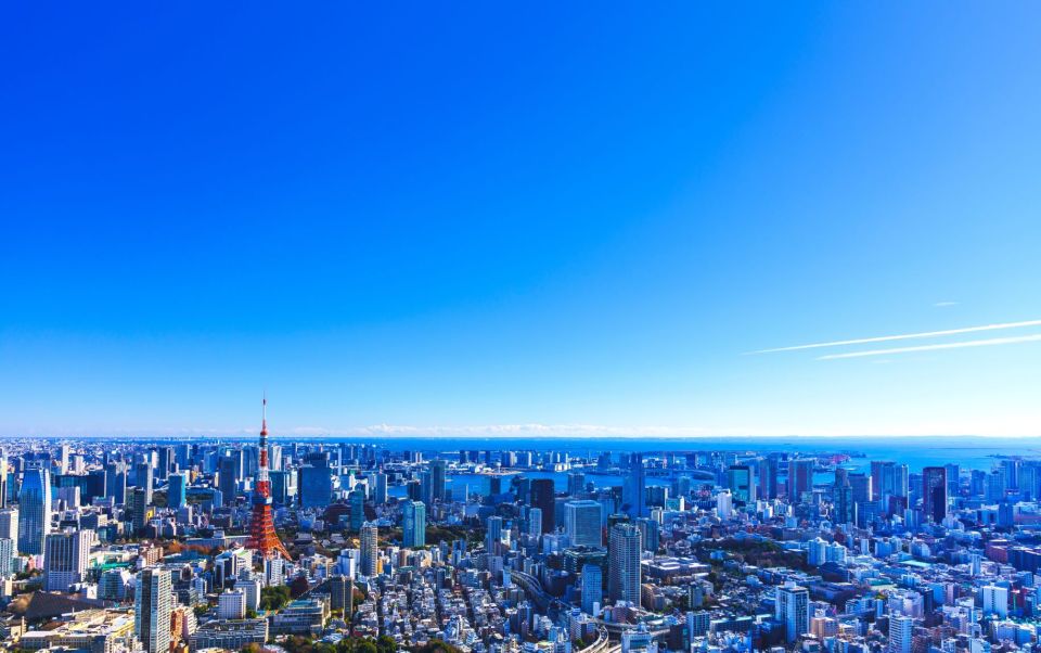 Tokyo: Guided Helicopter Ride With Mount Fuji Option - Aerial Views of Tokyo Landmarks