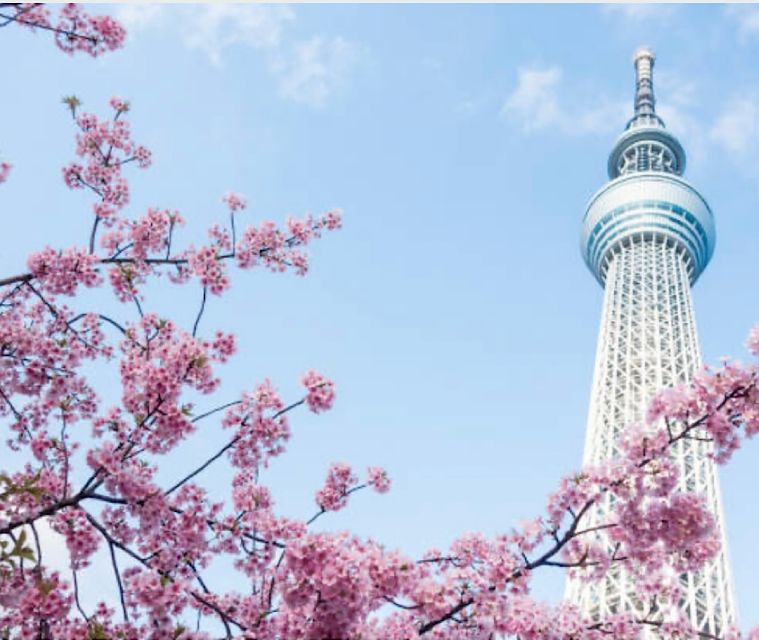 Tokyo Private Tour: Customizable (Up-To 6 Persons) - Pickup and Accessibility