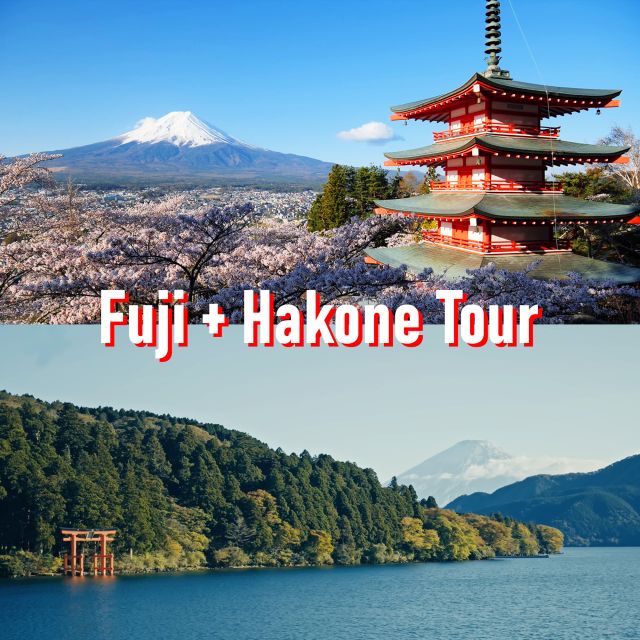 Tokyo to Mount Fuji and Hakone: Private Full-Day Tour - Itinerary Details