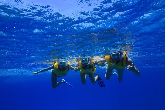 Turtle Canyons Snorkel Excursion From Waikiki, Hawaii - Additional Information
