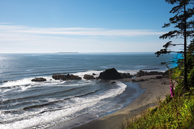 Viator Exclusive Tour- Olympic National Park Tour From Seattle - Included Features