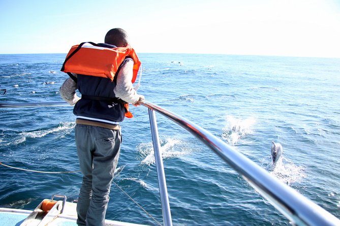 Whale Watching From Gansbaai - Boat Ride and Professional Guide