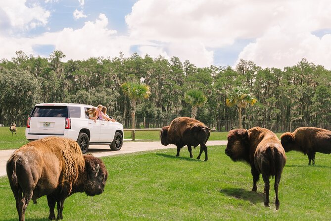 Wild Florida Drive-Thru Safari and Gator Park Admission - Animals and Exhibits