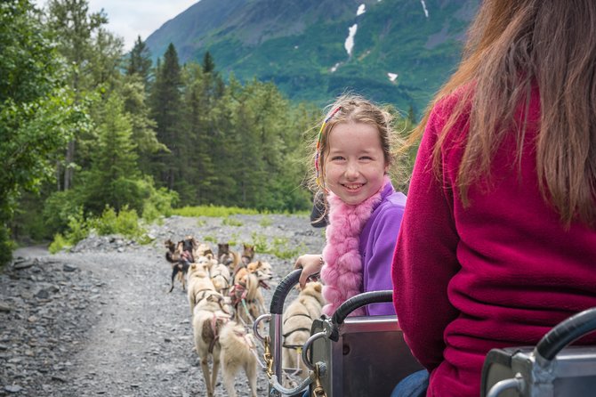 Wilderness Dog Sled Ride and Tour in Seward - Whats Included in the Tour