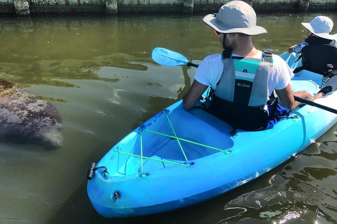Wildlife Refuge Manatee, Dolphin & Mangrove Kayak or Paddleboarding Tour! - Exploring the Indian River
