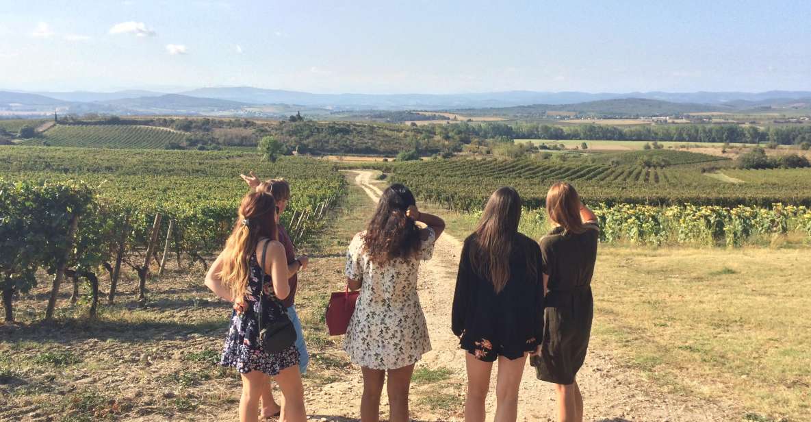 Wine Tour Cathar Country - Highlights of the Tour