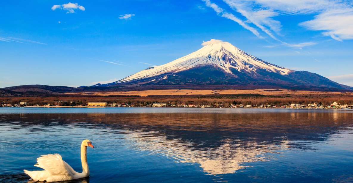 1-Day Trip: Mt Fuji + Kawaguchi Lake Area - Inclusions and Extras
