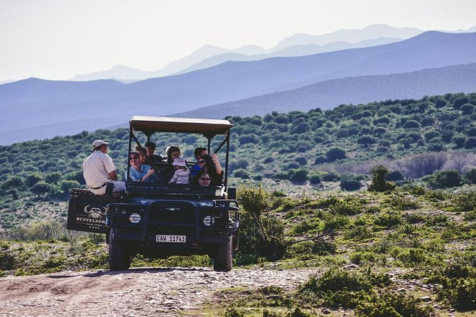 2 Day 4x4 Safaris Tour With South African Wildlife From Cape Town - Additional Information