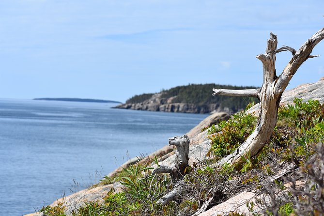 3 Hour Private Tour: Explore All the Top Spots of Acadia! - Complimentary Snacks and Refreshments
