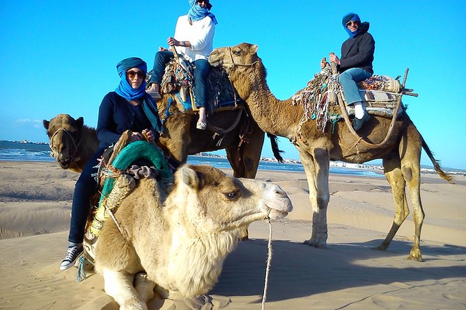 3 Hours Ride on Camel at Sunset - Picnic and Tea Break