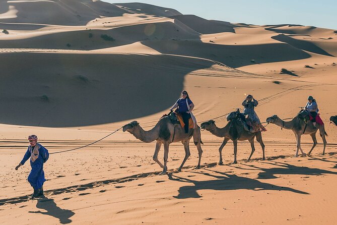 7 Days Luxury Desert Tour From Casablanca to Marrakech via Fez -Camel Trekking - Luxury Desert Camp