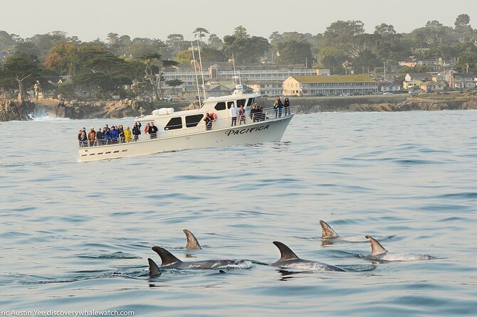 Afternoon Whale Watch - Group Size and Capacity
