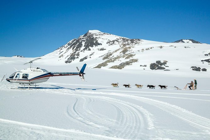 Alaska Helicopter and Glacier Dogsled Tour - ANCHORAGE AREA - Tour Activities