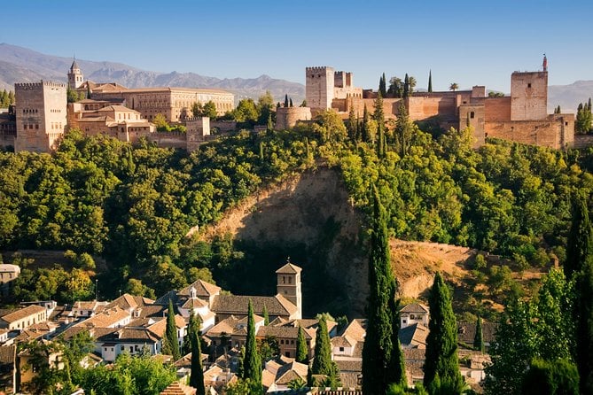 Alhambra Private/Small Group Tour & Nasrid Palaces Skip the Line - Marveling at the Nasrid Palaces