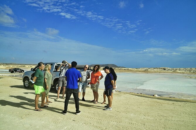 All Inclusive Full-Day Tour in Sal Island (Lunch and All Fees Included) - Lemon Sharks and Salt Mines