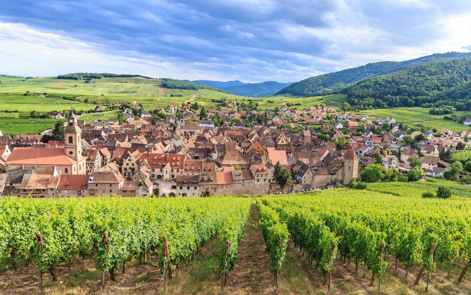 Alsace Wine Odyssey: Full-Day Private Tour From Strasbourg - Discovering Dambach-la-Ville