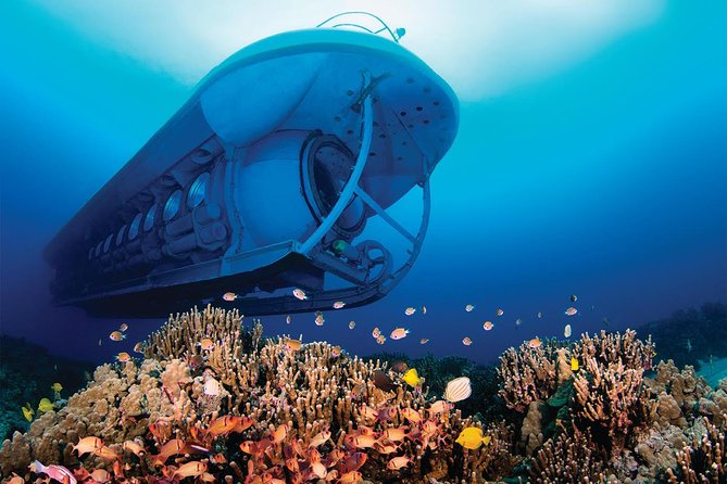 Atlantis Submarine From Kona Beach - Submarine Capacity and Languages