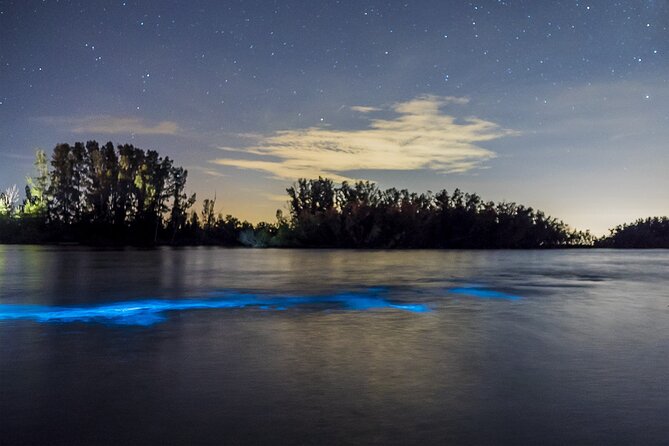 Bioluminescent Clear Kayak Tours in Titusville - Inclusions in the Tour