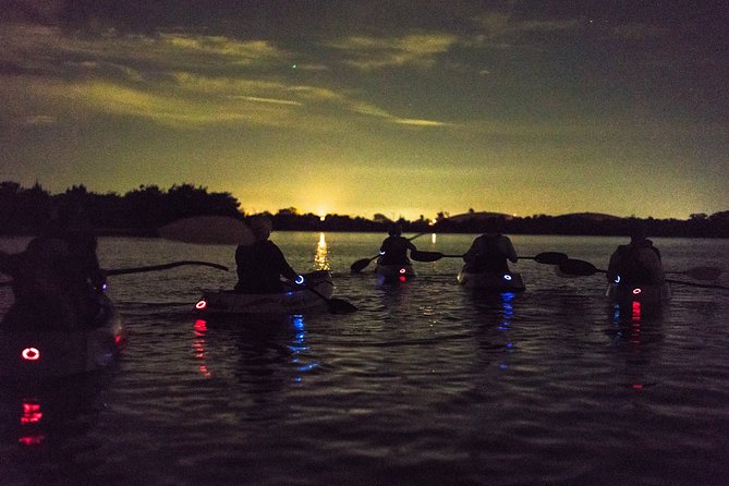 Bioluminescent Kayak Tour by THE #1 Rated Company in Cocoa Beach - Paddle at Your Own Pace