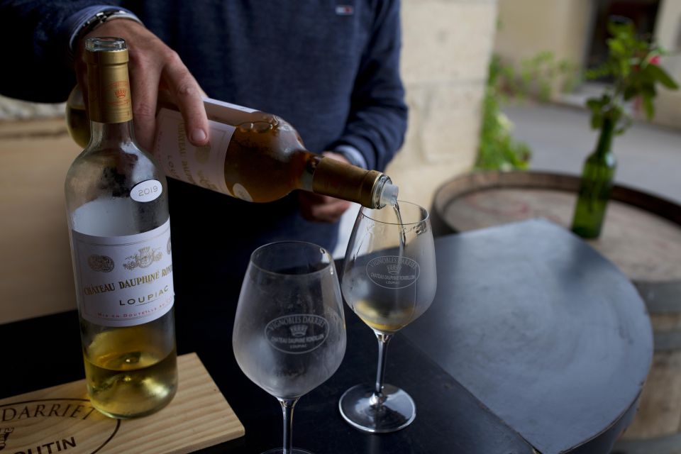 Bordeaux: Full Day Wine Tastings & Lunch - Pricing and Availability