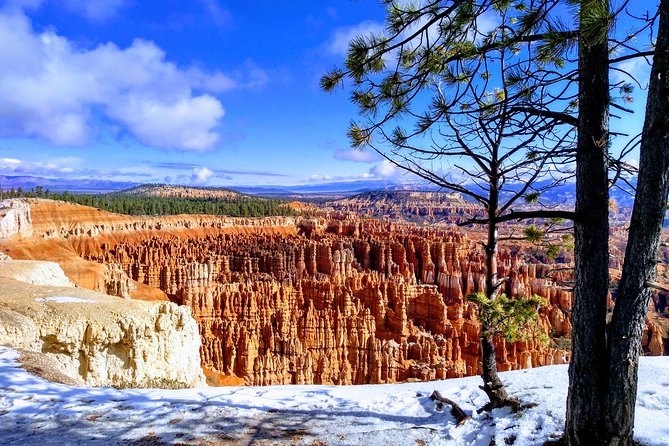 Bryce Canyon and Zion National Park Day Tour From Las Vegas - Meeting and End Points