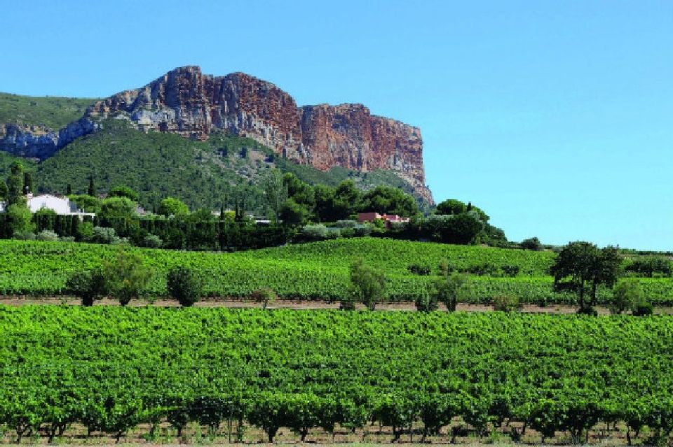 Calanques of Cassis, Aix-en-Provence & Wine Tasting Day Tour - Discovering Aix-en-Provences Old Town