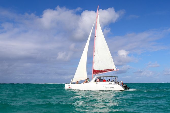 Catamaran Cruise to Ile Aux Cerfs - Opportunity to Spot Marine Life