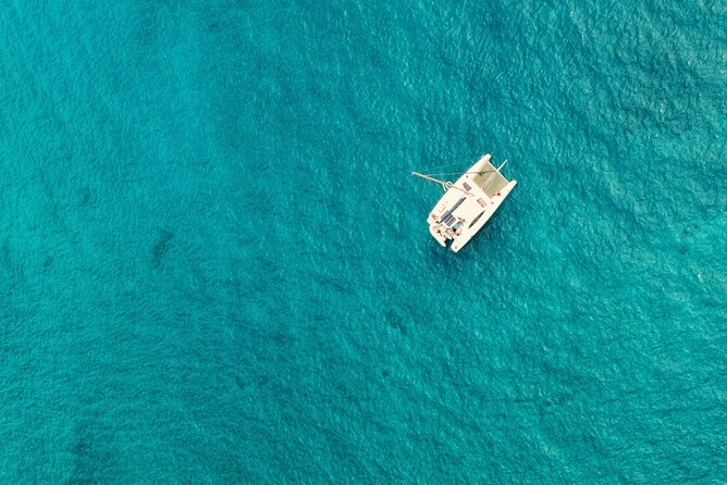 Catamaran Half Day - Beautiful Day on the Atlantic Ocean - Wildlife Observation Opportunities