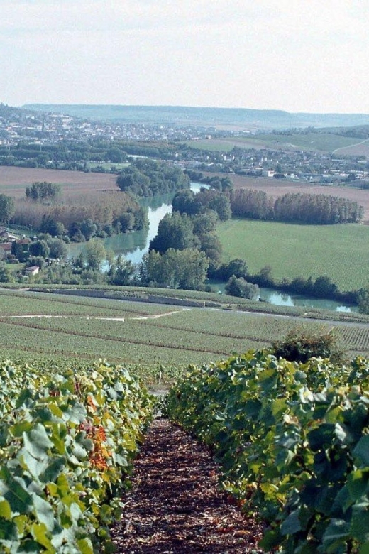 Champagne: Private Round Transfer From Paris - Visit Epernay and Reims