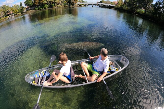 Clear Kayak Manatee Ecotour of Crystal River - Customer Experiences