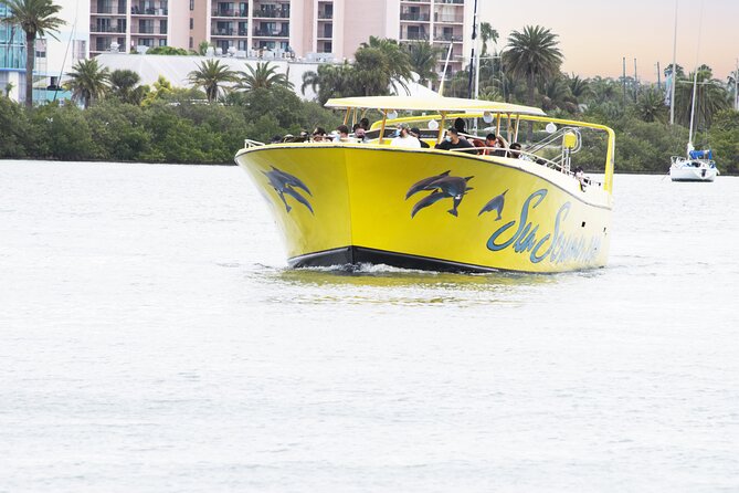 Clearwater Beach Dolphin Speedboat Adventure With Lunch & Transport From Orlando - Dolphin Sighting Opportunities