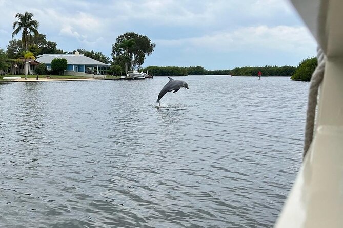 Cocoa Beach Dolphin Tours on the Banana River - Customer Reviews