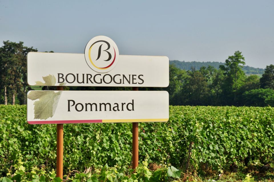 Côte De Beaune Private Local Wineries and Wine Tasting Tour - Expert-Led Guidance