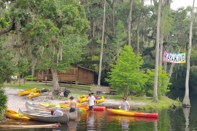 Cypress Forest Guided Kayak Nature Eco-Tour - Tour Inclusions and Specifications