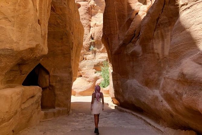 Day Tour to Petra From Amman - Tour Details