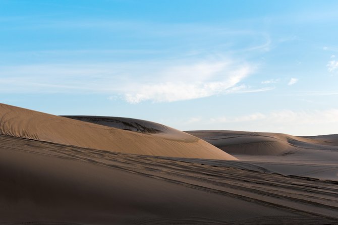 Desert Combo Safari, Camel Ride, Quad Bike and Dune Bashing(All Inclusive) - Participant Requirements