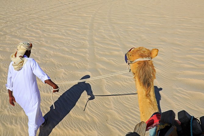 Desert Safari With Camel Ride, Sand Boarding & Inland Sea Tour in Doha - Cancellation Policy