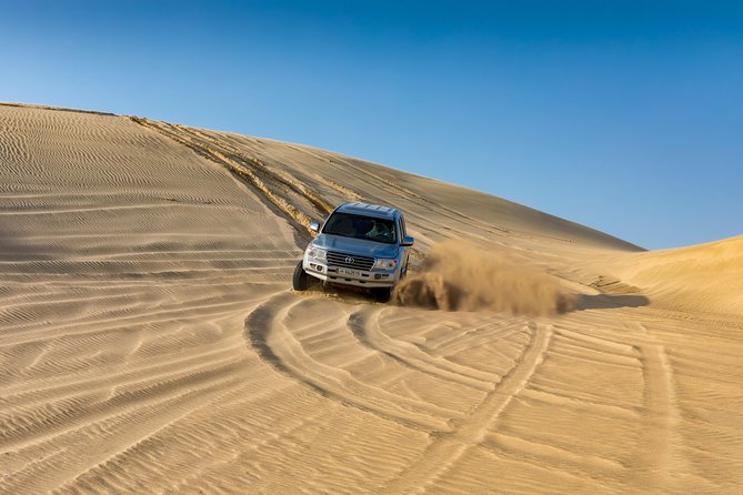 Doha Safari: Bash The Dunes, Camel Ride and Sandboarding - Camel Ride Experience