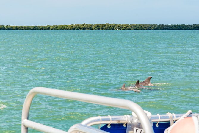 Dolphin Boat Tour in Clearwater Beach With Free Ice Cream - Additional Info