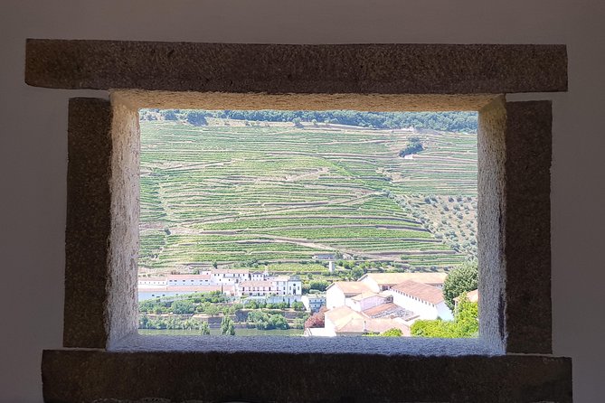 Douro Valley Wine Tour: 3 Vineyard Visits, Wine Tastings, Lunch - Wine Tasting Experience
