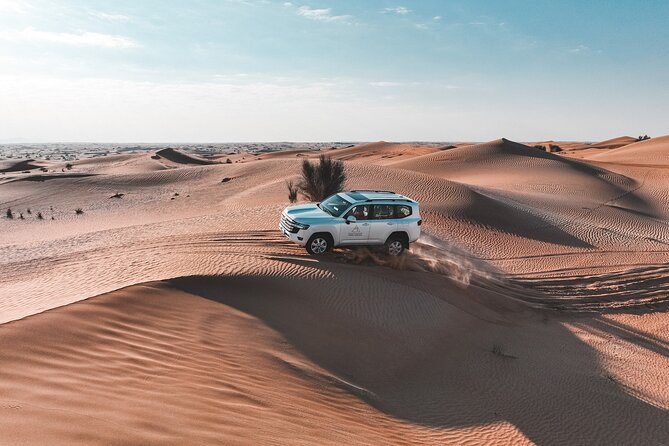 Dubai Desert Safari: Camel Ride, Sandboarding, BBQ & House Drinks - Ratings and Accolades