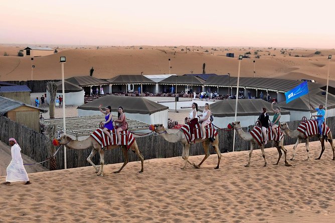 Dubai: Sunset Camel Caravan Safari With BBQ Dinner at Al Khayma Camp - Captivating Falcon Photography Experience