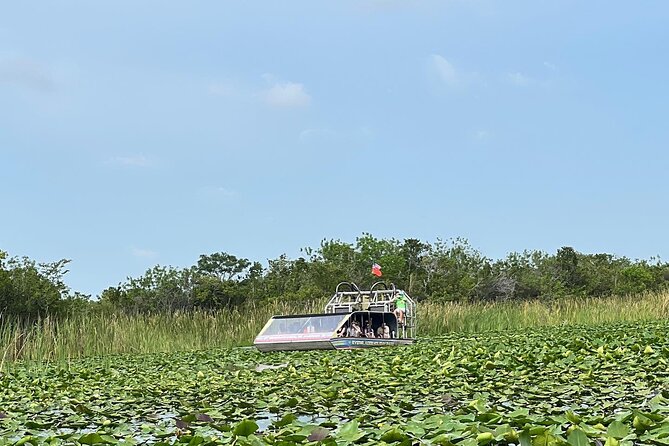 Everglades Tour From Miami With Transportation - Airboat Ride Experience