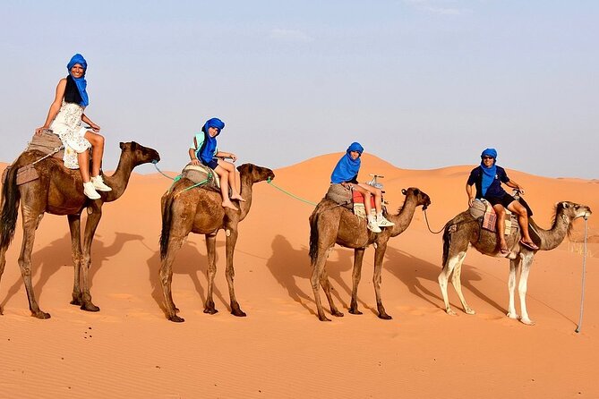 Excursion From Ouarzazate to the Draa Valley, Zagora and the Tinfou Dunes - Inclusions and Exclusions